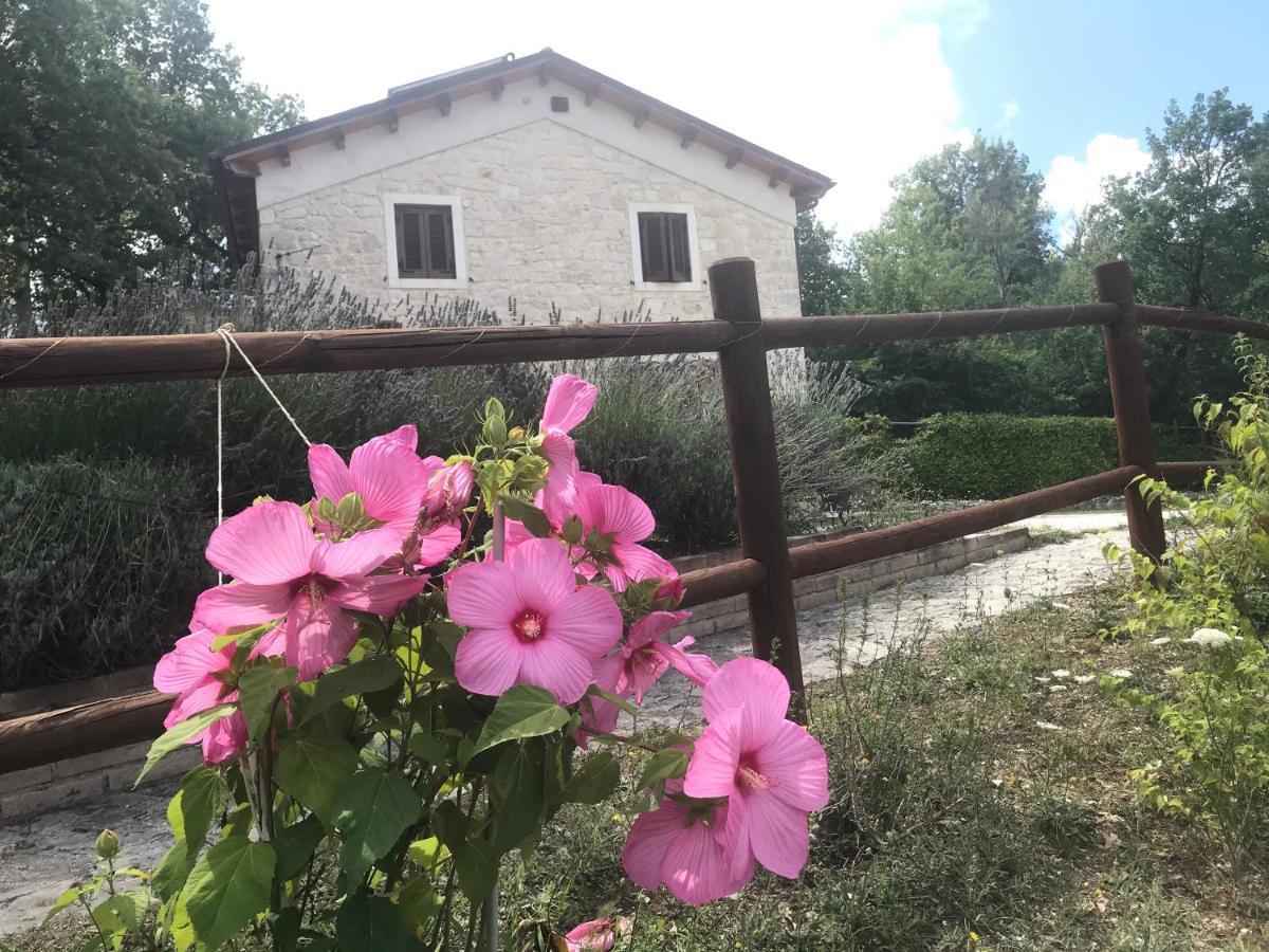Abbateggio Country House Antiche Dimore المظهر الخارجي الصورة